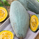 Squash 'Guatemalan Blue' Seeds