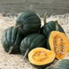 Squash 'Table Queen' Seeds