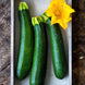 Zucchini 'Fordhook' Seeds
