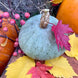 Squash 'Sweet Meat' Seeds