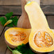 Squash 'Butternut' Seeds