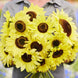 Sunflower 'Moonshine' Seeds