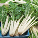 Swiss Chard 'Large White Rib' Seeds