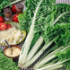 Swiss Chard 'Lucullus' Seeds