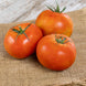 Tomato 'Atkinson' Seeds