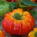 Tomato 'Big Rainbow' Seeds