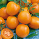 Tomato 'Druzba' Seeds