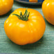 Tomato 'Lemon Boy' Seeds