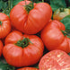 Tomato 'Ponderosa Pink' Seeds