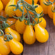 Tomato 'Yellow Pear' Seeds
