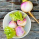 Turnip 'Purple Top White' Seeds