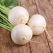 Turnip 'Shogoin' Seeds