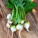 Turnip 'White Egg' Seeds