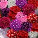 Verbena 'Mix' Seeds
