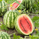 Watermelon 'Crimson Sweet' Seeds
