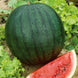 Watermelon 'Florida Giant' Seeds