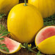 Watermelon 'Golden Midget' Seeds