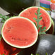 Watermelon 'Sugar Baby Bush' Seeds