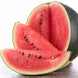 Watermelon 'Sugar Baby' Seeds