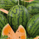Watermelon 'Tendersweet Orange' Seeds